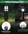 Comparison of Top Tier Low Voltage Landscape Pathway Lights With Replaceable LED G4 Bulbs 12V 2700K and non-replaceable fixtures.