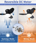 Compact Ceiling Fan With Light 25 Inch Flush Mount Remote Control Dimmable LED 6 Speeds Reversible Quiet DC Motor Black