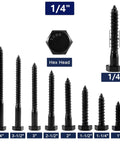 Durable One Quarter Inch By Two Inch Lag Screws Set Twenty Pieces Hex Head Wood Bolts Black Oxide Made From 304 Stainless Steel Eighteen Eight Grade With Partial Thread For Solid Fastenings Ideal For Decks Fences Sheds And Outdoor Wood Projects SG TZH displayed in various sizes with hex head view.