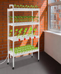 4 Tier Indoor And Outdoor Hydroponic Grow Rack With 12 Pipes And 108 Plant Sites in a sunlit room, featuring foot pads and casters.