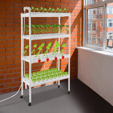 4 Tier Indoor And Outdoor Hydroponic Grow Rack With 12 Pipes And 108 Plant Sites in a sunlit room, featuring foot pads and casters.