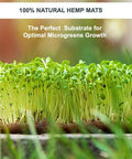 Water Wicking Hemp Mats For Microgreens And Wheatgrass Kit, 13 By 5.5 Inch Size on a natural substrate background