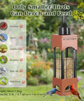 Squirrel Proof Outdoor Bird Feeders With 5 Pound Capacity Metal Tube Design Beefy Build Heavy Duty Chew Proof For Cardinal Finch Chickadee Birds Garden Yard Hanging Decor, 24-inch tall gold feeder with bird images.