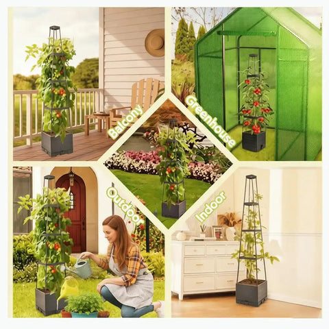 Collage of two pack tomato planters with trellis, 56 inch tomato cages for indoor and outdoor climbing plants, self watering vertical garden beds shown on balcony, greenhouse, outdoor garden, and indoor setting.