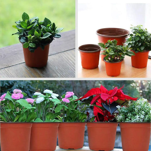 100 Count 4 Inch Plastic Seed Starter Pots For Seedlings Cuttings And Transplants, shown with plants and drain holes visible.