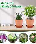 Six Pack 6 Inch Terracotta Pots With Saucers For Indoor Outdoor Plants Drainage Hole Mesh Liners Included Great For Crafts And Wedding Favors