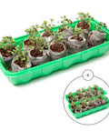 No Mess Indoor Garden Starter Kit With Mini Greenhouse Humidity Dome And 3-Pack Reusable Seedling Trays with seedlings visible