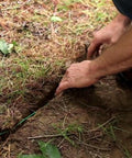 Installation of Heavy Duty 14 Gauge Underground Dog Fence Wire 1000 Feet Of Polyethylene Coated UV Resistant And Submersible Industrial Grade Electric Fence Boundary Wire in yard.