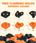 20 Ninja Tree Climbing Holds Kit With 6 Ratchet Straps, orange and black holds with dimensions shown, outdoor training set.