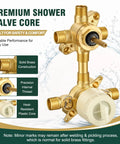 Heavy Duty Solid Brass Shower Rough In Valve With Two To Three Function Integrated Transfer Diverter and Pressure Balancing, detailed view.