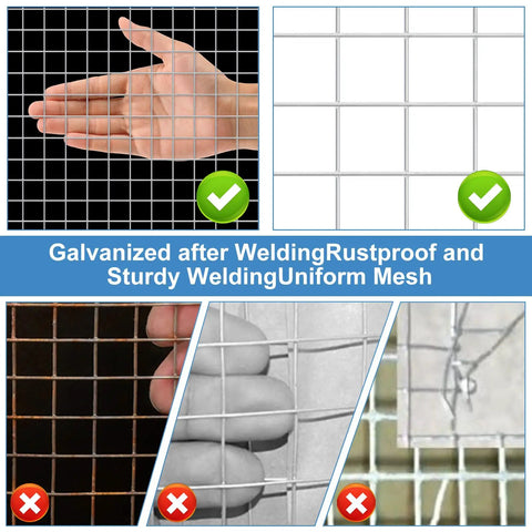 Hand holding 19 Gauge Hardware Cloth One Half Inch Mesh Welded Galvanized Cage Wire Roll Forty Eight Inch By One Hundred Feet Poultry Netting Fence