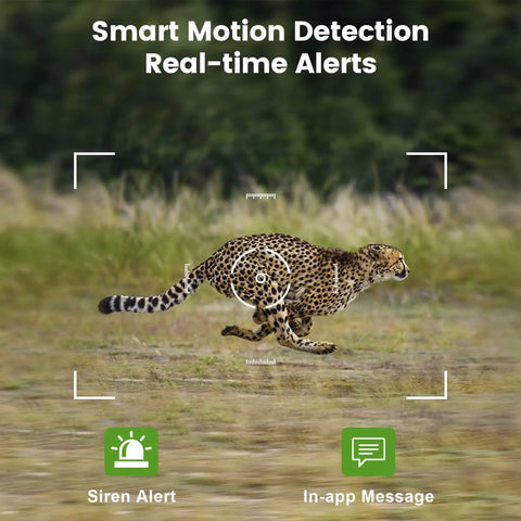 Cheetah running in a field with smart motion detection overlay for Wireless Cellular PTZ Security Camera For Outdoor Monitoring With Solar Charging And Straight Up 4G Signal Serving As A Flat Out Game Changer For Off Grid Sites By Dropping Lifetime Free Data Zero Monthly Bills Without A Care.