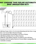 Diagram of Solar Drip Irrigation System With Timer For Garden, Patio And Raised Beds, Auto Watering Kit For Greenhouses, shows 30 plants setup