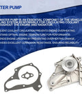 Toyota All-In-One Timing Belt Kit Water Pump and Gaskets for 1987-2001 Camry Celica MR2 Solara RAV4 2.0L 2.2L