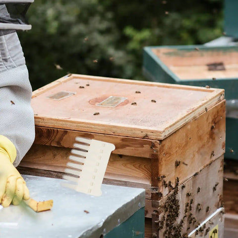 8 Head Beekeeping Scraper Pen For Hive Cleaning Outdoor Use Pro Grade Durable Plastic Tool with jelly extractor near beehive