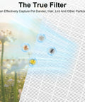 Six Pack Replacement Filters For Honeywell HPA Series Air Purifiers capturing particles like pet dander and pollen for fresher air.