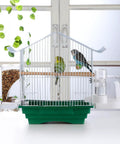 No Sweat Automatic Bird Feeder For Cage Parrot Food Dispenser With Crystal Clear Perch and Quick Load Hopper, green cage with birds.