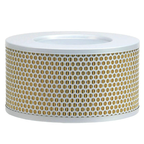 Intake Air Filter Replacement Direct Fit For Becker Vacuum Pump VTLF VXLF Series 2.200, 2.250, 2.360 Replaces 90951200000 909512 With 99 Percent Filtration At 2 Microns Paper Cartridge