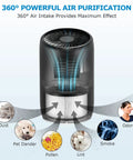 Diagram of air purifier showcasing 360° filtration, eliminating dust, pollen, pet dander, odors, and smoke with 3-in-1 system.