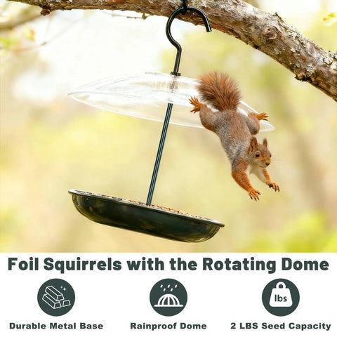 Outdoor Platform Bird Feeder With 12 Inch Weatherproof Dome And Squirrel Resistant Tray 2 Lb Seed Capacity 360 Degree Feeding