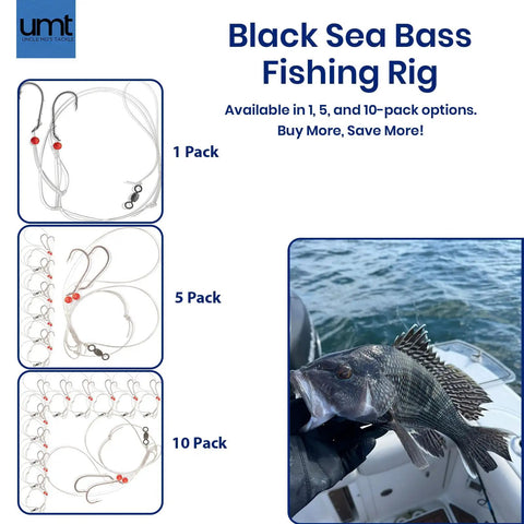 Hi Lo Fierce Series Sea Bass Rig Pack 10 Hand Tied Black 3/0 Baitholder Hooks With Beads 30Lb Mono Leader and fishing options.