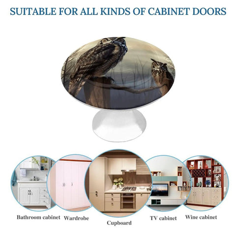 Owl Sitting Tree Fence Drawer Pulls Round Cabinet Knobs In Modern Stainless Steel for Kitchen and Furniture Makeovers, 2 Pack