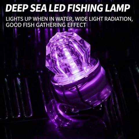 Purple LED Diamond Fishing Light from LED Diamond Fishing Lights Set Of 5 Underwater Flasher Lures For Real Pro Night Fishing Waterproof Water Activated Lure Lamps For Saltwater And Freshwater Tuna Deep Drop Gear With Rugged ABS Build glowing underwater.