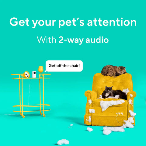 360 Degree Indoor PTZ Pet Cam With Color Night Vision Remote App Control Pan Tilt Zoom Auto Waypoints Perfect For Dog Cat Baby And Elderly Monitoring Two-Pack Security System, shown with yellow chair and cats.