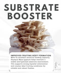 Oyster mushrooms growing on substrate with text "Substrate Booster", featuring 97 percent pure gypsum powder for substrates.