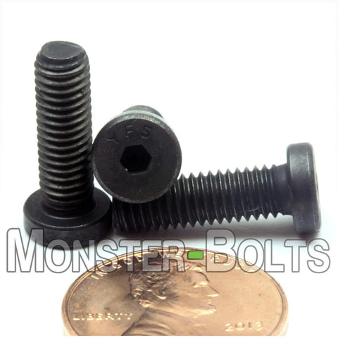 Top Shelf 10 32 X 5 8 Low Head Socket Screws Rock Solid Alloy Steel Fasteners with hex drive next to a penny.