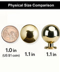 Unlacquered Brass Cabinet Knobs Five Pack Round Ball Knobs For Dresser Drawers size comparison with US coin, 1.1 inch diameter