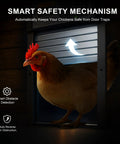 Chicken using Solar Powered Roll Up Chicken Coop Door With Light Sensor Timer Manual Mode 2500mAh Battery USB C Backup