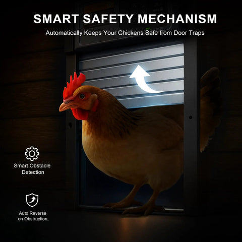 Chicken using Solar Powered Roll Up Chicken Coop Door With Light Sensor Timer Manual Mode 2500mAh Battery USB C Backup