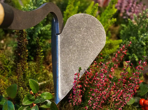 Close-up of Drop Grip Hand Plow for Raised Beds, ash wood handle, steel head digging soil among plants