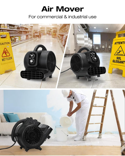 Air Mover Blower Fan 2000 CFM, One Third HP Workhorse Carpet Dryer With Timer, 3 Speed Settings, Black in commercial setting