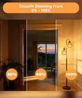 4W Dimmable Amber Globe LED Bulb With Squirrel Cage Filament, G125 Edison Style, lighting dimmed at 30%, 60%, and 100%