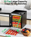 Food Dehydrator For Jerky And More With 12 Stainless Steel Trays in kitchen showing fruit trays and dimensions