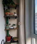 Tough As Nails Dual Pack Wall Mounted Floating Shelf Brackets In Industrial Black holding potted plants in a corner with adjustable supports.