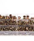 500 Piece Rivet Nut Kit Carbon Steel Threaded Inserts Galvanized Set For Furniture Assembly And Home Projects in storage box