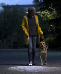 Person walking a dog at night using 3 Pack USB C Rechargeable Mini LED Flashlights With Sidelight Lantern