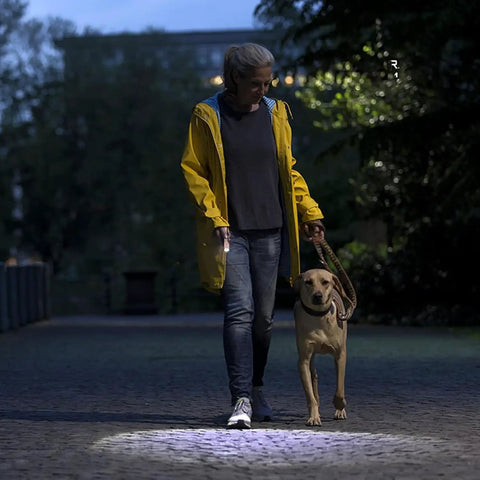 Person walking a dog at night using 3 Pack USB C Rechargeable Mini LED Flashlights With Sidelight Lantern