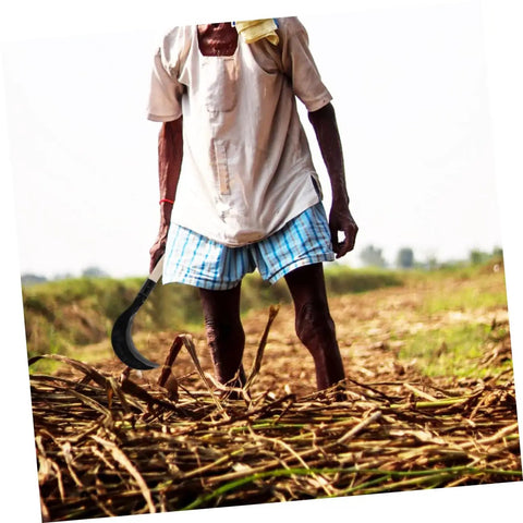 Person using Long Handled Gardening Hand Scythe With Manganese Steel Blade For Weeding And Cultivating Built Tough For Outdoor Lawn Care