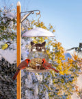 Squirrel Proof Metal Cat Shaped Bird Feeder for Outdoor Garden Yard with snow-covered setting and visiting birds.