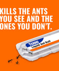 Liquid Ant Bait Stations For Indoor Control 12 Count Bait System, clear station with ants on an orange background