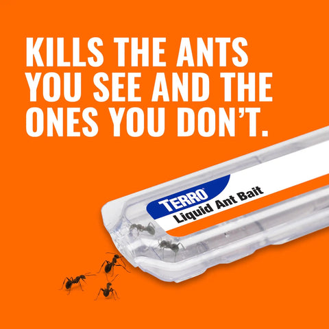 Liquid Ant Bait Stations For Indoor Control 12 Count Bait System, clear station with ants on an orange background