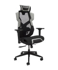 FLEXX Ergonomic Office And Gaming Chair With Lumbar Support, Breathable Mesh Recliner With Headrest And Adjustable Armrests, Gray