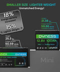 Compact Twelve Point Eight Volt 100Ah LiFePO4 Battery Mini Group 24 With 100A BMS Low Temp Protection Ten Year Lifespan