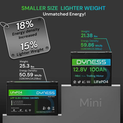 Compact Twelve Point Eight Volt 100Ah LiFePO4 Battery Mini Group 24 With 100A BMS Low Temp Protection Ten Year Lifespan