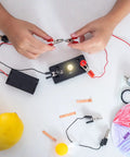 A hands-on circuit experiment using Works Like A Charm E10 Screw Base Miniature Bulbs 12V 5W Warm Yellow Light with clips and fruits.