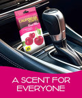 Power Bloc Car Air Freshener Coronado Cherry Scent With Biodegradable Fiber Pad And Up To 45 Day Longevity Eco Friendly Design For A Fresh Ride Made In The USA under seat by gear shift